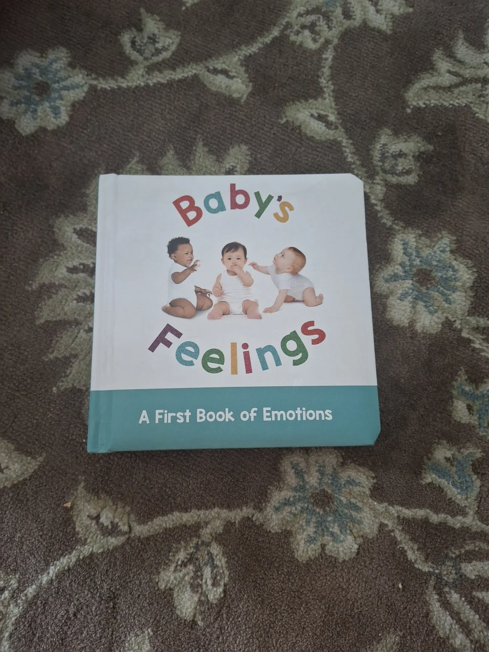 Baby's Feelings: A First Book of Emotions - Teal & White